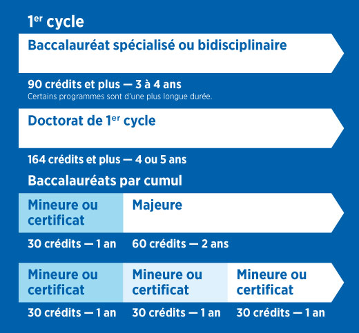 Choisir Le Bon Type De Programme D Etudes Universite De Montreal Guide D Admission