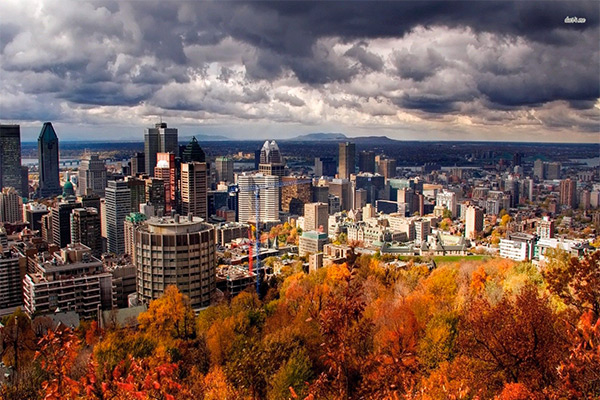 Top 5 couleurs Vue du Mont-Royal