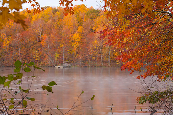 Top 5 couleurs Paysage d'automne